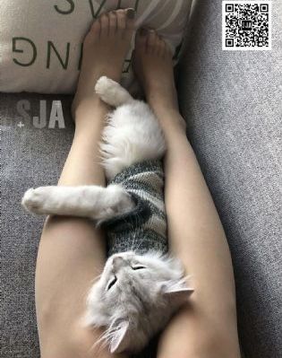与白嫩丰满人妻一区二区三区精品_蓝光高清迅雷在线观看